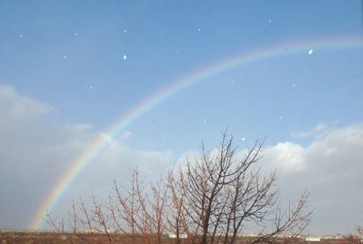 Paperback The Creator and His Creations- From My Eyes- The Promise: " His World, His Word, and His Way Equals His Promise " Book