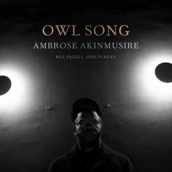 Vinyl Owl Song Book