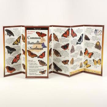 Pamphlet Common Butterflies of the Northeast Book