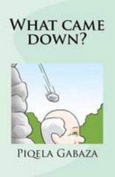 Paperback What came down? Book
