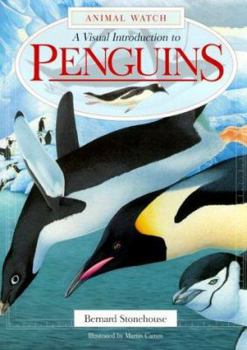 Hardcover A Visual Introduction to Penguins Book