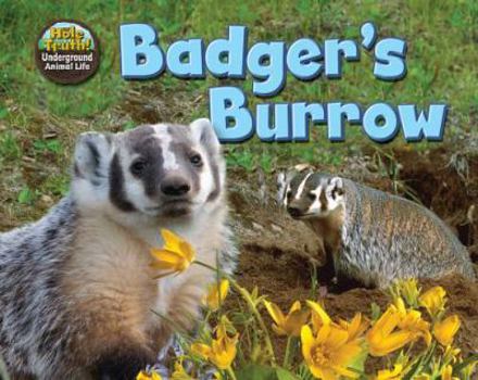 Badger's Burrow - Book  of the Hole Truth! Underground Animal Life