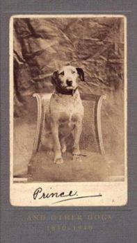 Hardcover Prince and Other Dogs, 1850-1940 Book