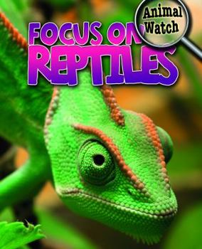 Library Binding Focus on Reptiles Book