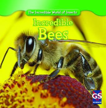 Paperback Incredible Bees Book