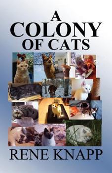 Paperback A Colony of Cats Book