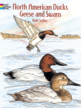 Paperback North American Ducks, Geese and Swans Coloring Book