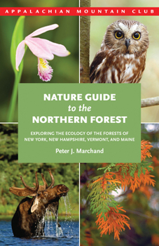 Paperback Nature Guide to the Northern Forest: Exploring the Ecology of the Forests of New York, New Hampshire, Vermont, and Maine Book