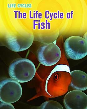 The Life Cycle of Fish - Book  of the Life Cycles