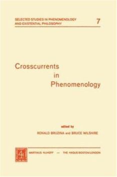 Crosscurrents in Phenomenology