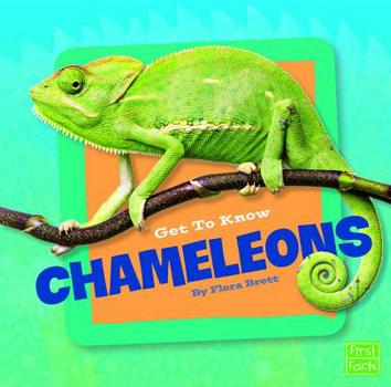 Hardcover Get to Know Chameleons Book