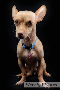 Weekly Planner: Chihuahua Dog Daily Planner Schedule Organizer Agenda 52 weeks 6x9