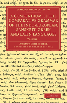 Compendium der vergleichenden Grammatik der indogermanischen Sprachen