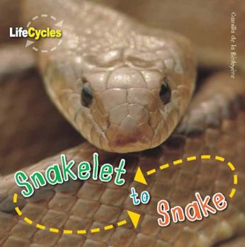 Paperback Snakelet to Snake. Camilla de La Bdoyre Book