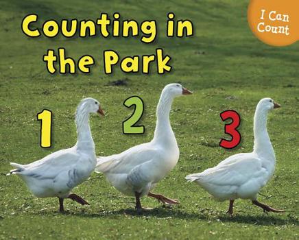 Paperback Counting at the Park Book