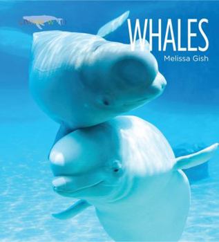 Paperback Living Wild: Whales Book