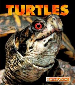Library Binding Turtles Book
