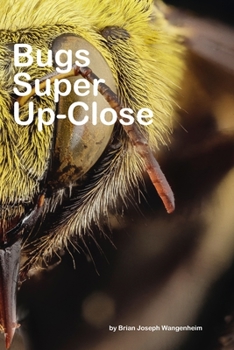 Paperback Bugs Super Up-Close: Macro Views of Bugs! Book