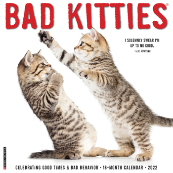 Calendar Bad Kitties 2022 Wall Calendar, Cats and Kittens Book
