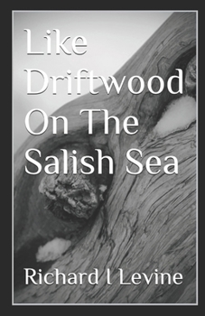 Like Driftwood On The Salish Sea: a small town romance