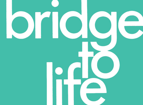 Paperback Bridge to Life (Green) 25-Pack Book