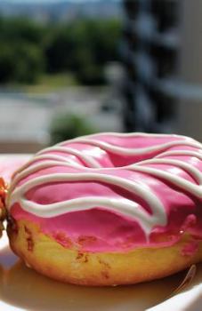 The Hacker-Proof Internet Address Password Book - Double Donut: Alphabetical Website Username & Password Organizer Logbook Notebook