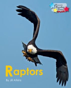 Paperback Raptors Book