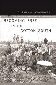 Paperback Becoming Free in the Cotton South Book