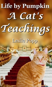 Life by Pumpkin: A Cat's Teachings