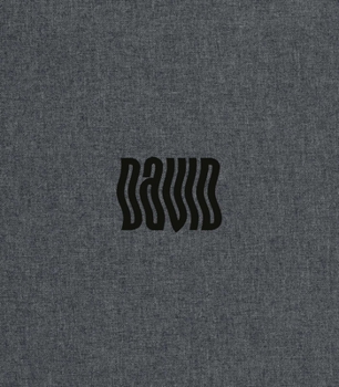 Hardcover David Bowie by Denis O'Regan: With Rare and Unseen Images from His Official Tour Photographer Book