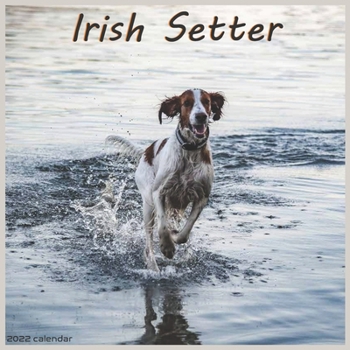Irish Setter Calendar 2022: Official Irish Setter Dog breed Calendar 2022 16 Months