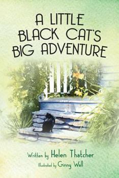 Paperback A Little Black Cat's Big Adventure Book