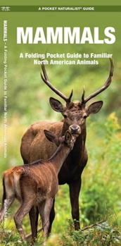 Misc. Mammals: An Introduction to Familiar North American Species Book