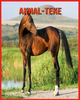 Akhal-Teke: Informations Etonnantes & Images