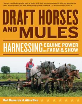 Paperback Draft Horses and Mules: Harnessing Equine Power for Farm & Show Book