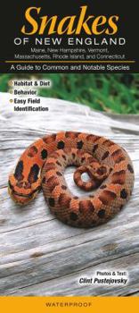 Paperback Snakes of New England CT, Me, Ma, NH, Ri, VT Book