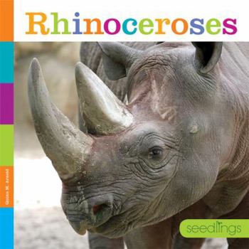 Paperback Rhinoceroses Book