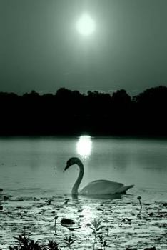 Journal Black White Peaceful Swan Photo: (Notebook, Diary, Blank Book)