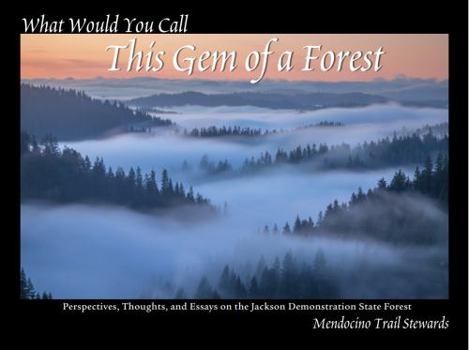 Perfect Paperback What Would you Call This Gem of a Forest Book