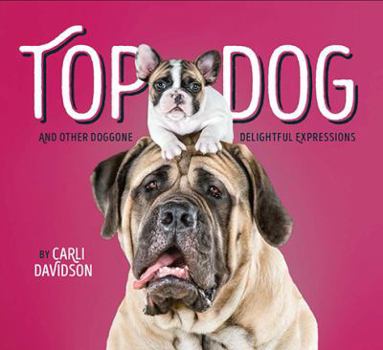 Hardcover Top Dog: And Other Doggone Delightful Expressions Book