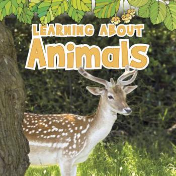 Paperback Learning about Animals Book