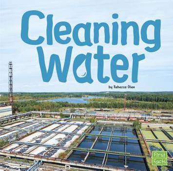 Paperback Cleaning Water Book