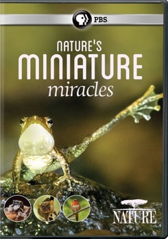 DVD Nature: Nature's Minature Miracles Book