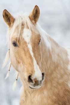 Horse Lovers 2020 Weekly Monthly Planner: With Agenda & Appointments Calendar Schedule, To Do List, Notes & Gratitude | Horse Lover Gifts For Men & ... Polo, Thoroughbred Racing, Farmer & Vet