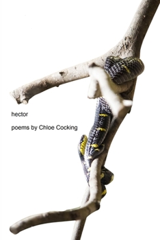 Paperback Hector Book