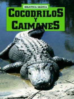 Hardcover Cocodrilos y Caimanes = Crocodiles and Alligators [Spanish] Book