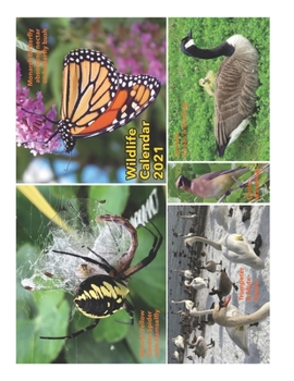 Paperback Wildlife Calendar 2021 Book