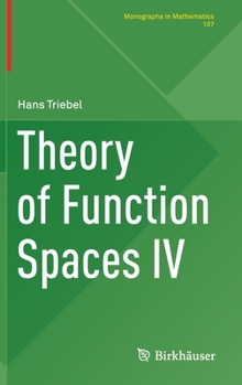 Hardcover Theory of Function Spaces IV Book