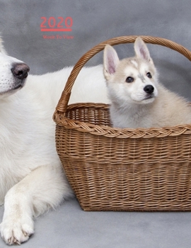 2020 A4 Diary Week To View Planner For All Occasions: | Year Planner For Business, Office, Home, University, College, School, Appointments, Organizer.