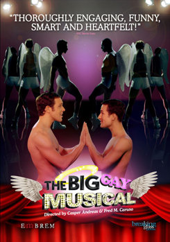 DVD The Big Gay Musical Book